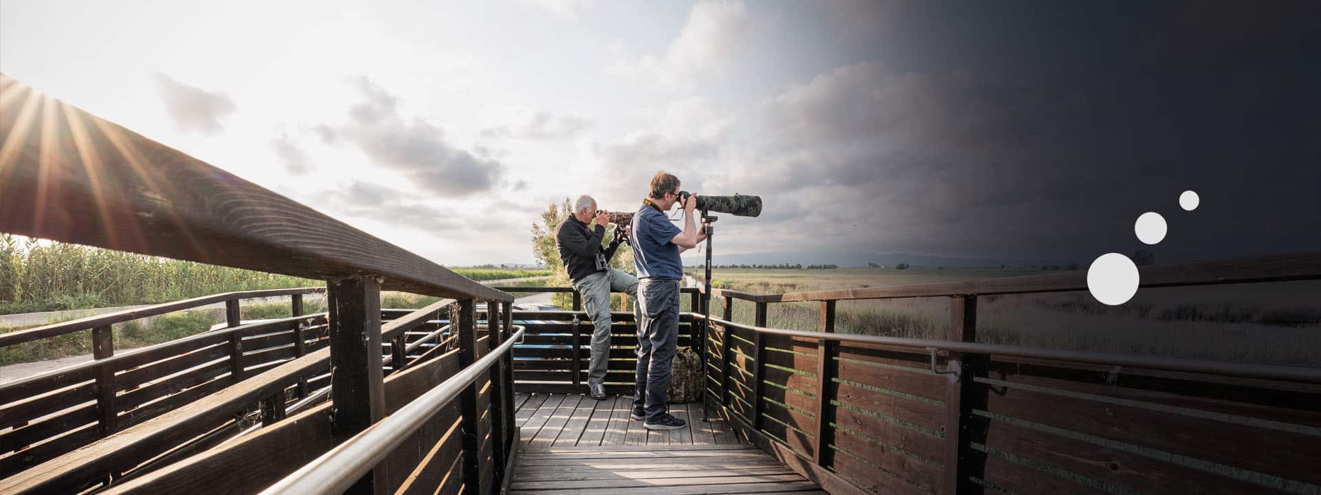 Delta Birding Festival